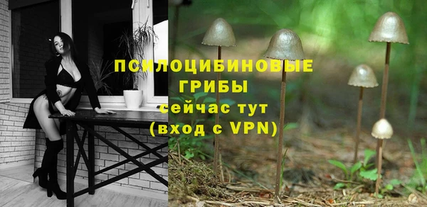 скорость mdpv Вяземский